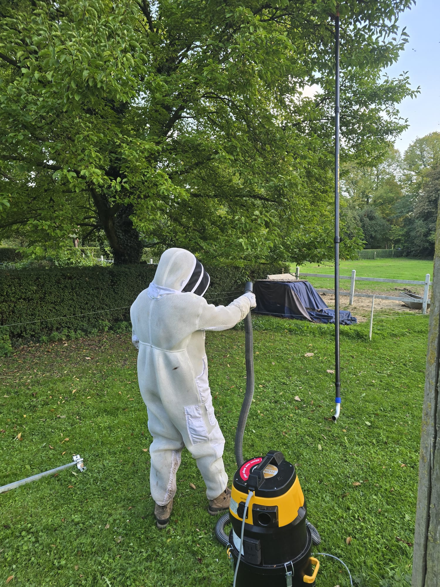 Gecertificeerde hoornaarbestrijder in beschermende kleding tijdens nestverwijdering