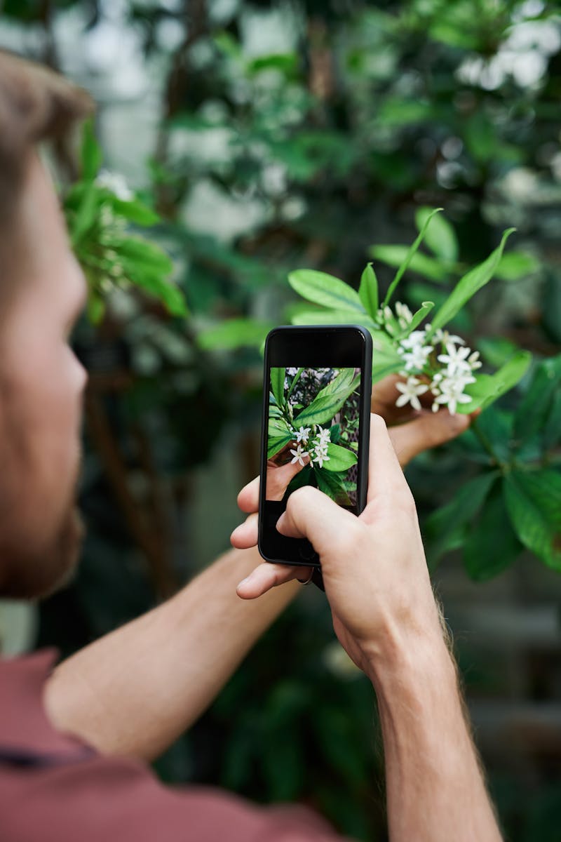 Man fotografeert bloemen met smartphone in de natuur — citizen science in actie