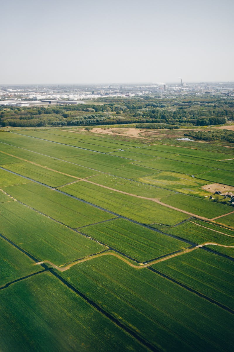 Luchtfoto van groen Nederlands boerenland — het leefgebied breidt zich uit